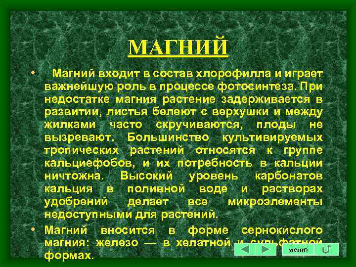 МАГНИЙ • Магний входит в состав хлорофилла и играет важнейшую роль в процессе фотосинтеза.