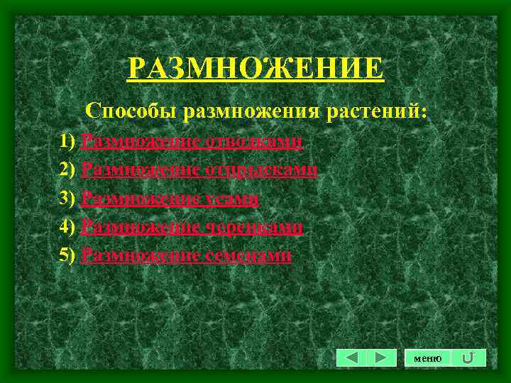 РАЗМНОЖЕНИЕ Способы размножения растений: 1) Размножение отводками 2) Размножение отпрысками 3) Размножение усами 4)