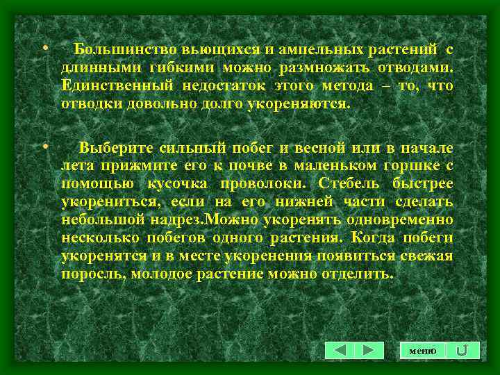  • Большинство вьющихся и ампельных растений с длинными гибкими можно размножать отводами. Единственный