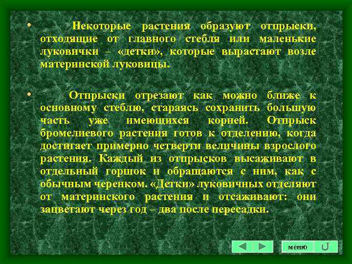  • Некоторые растения образуют отпрыски, отходящие от главного стебля или маленькие луковички –