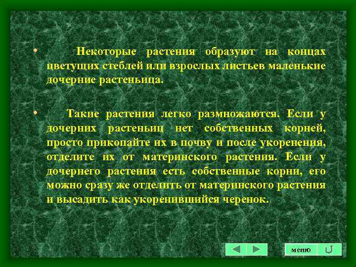  • Некоторые растения образуют на концах цветущих стеблей или взрослых листьев маленькие дочерние