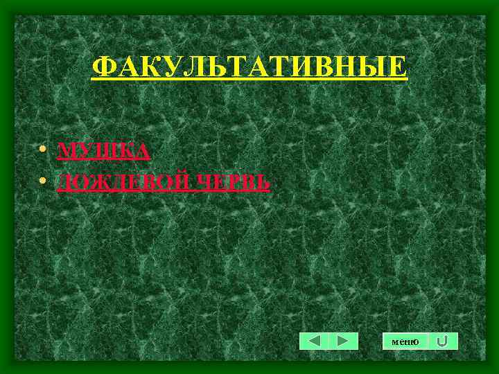 ФАКУЛЬТАТИВНЫЕ • МУШКА • ДОЖДЕВОЙ ЧЕРВЬ меню 