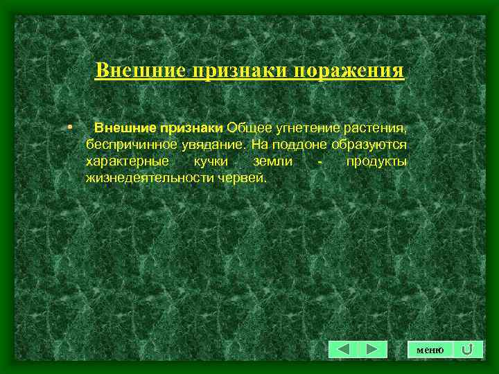 Внешние признаки поражения • Внешние признаки Общее угнетение растения, беспричинное увядание. На поддоне образуются