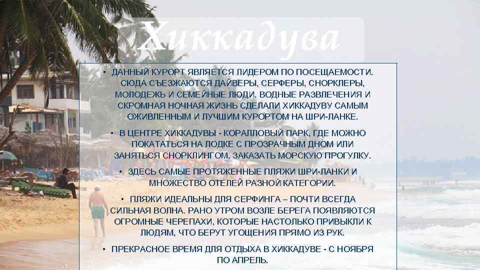  • ДАННЫЙ КУРОРТ ЯВЛЯЕТСЯ ЛИДЕРОМ ПО ПОСЕЩАЕМОСТИ. СЮДА СЪЕЗЖАЮТСЯ ДАЙВЕРЫ, СЕРФЕРЫ, СНОРКЛЕРЫ, МОЛОДЕЖЬ