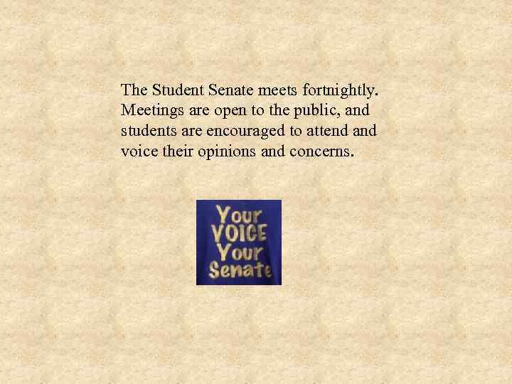 The Student Senate meets fortnightly. Meetings are open to the public, and students are