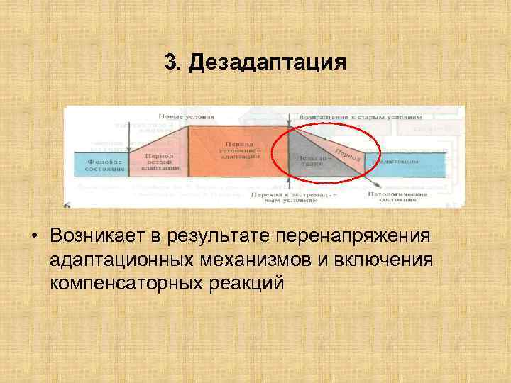 3. Дезадаптация • Возникает в результате перенапряжения адаптационных механизмов и включения компенсаторных реакций 