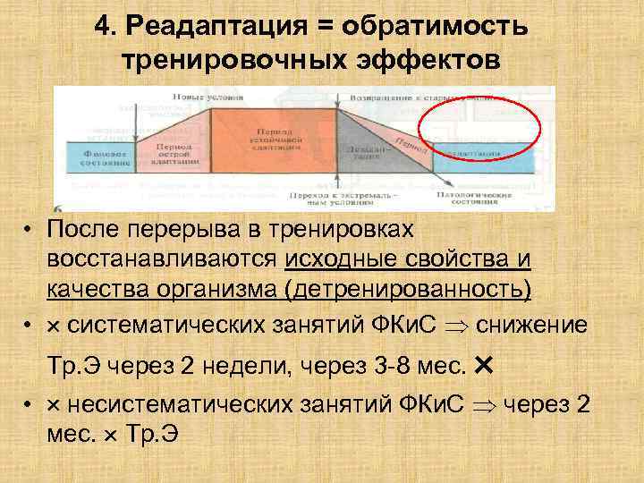 4. Реадаптация = обратимость тренировочных эффектов • После перерыва в тренировках восстанавливаются исходные свойства