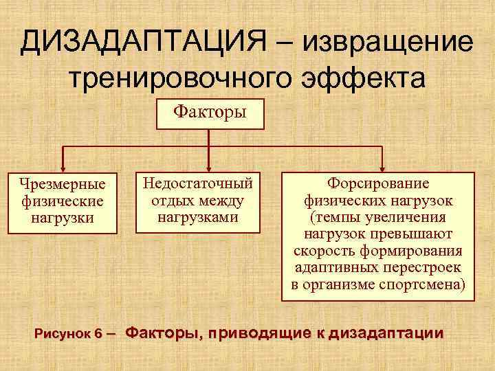 ДИЗАДАПТАЦИЯ – извращение тренировочного эффекта Факторы Чрезмерные физические нагрузки Рисунок 6 – Недостаточный отдых