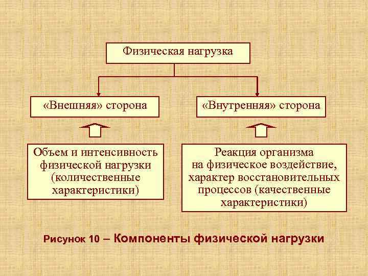 Портрет интерьер характеристика реакция на предложение чичикова