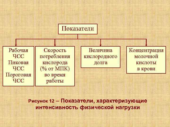 Показатели Рабочая ЧСС Пиковая ЧСС Пороговая ЧСС Скорость потребления кислорода (% от МПК) во