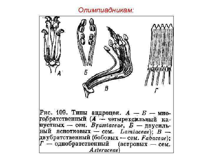 Олимпиадникам: 