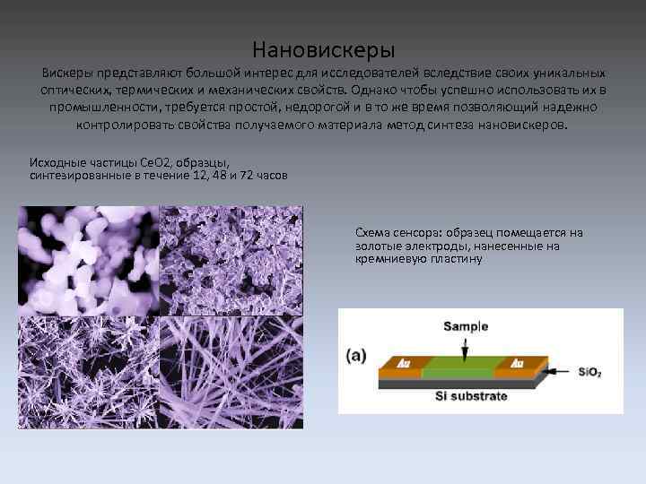 Нановискеры Вискеры представляют большой интерес для исследователей вследствие своих уникальных оптических, термических и механических