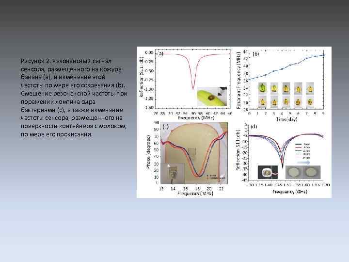 Рисунок 2. Резонансный сигнал сенсора, размещенного на кожуре банана (а), и изменение этой частоты
