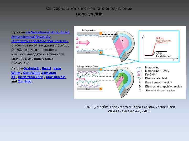 Сенсор для количественного определения молекул ДНК В работе «A Nanochannel Array-Based Electrochemical Device for