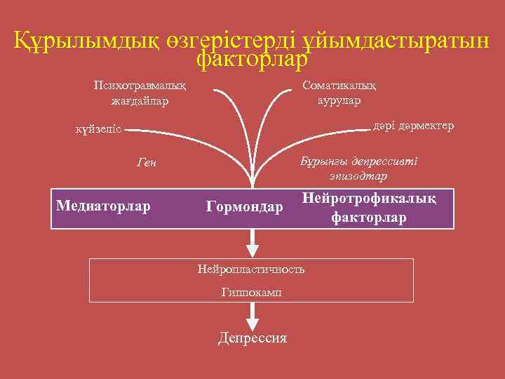Құрылымдық өзгерістерді ұйымдастыратын факторлар Соматикалық аурулар Психотравмалық жағдайлар дәрі дәрмектер күйзеліс Бұрынғы депрессивті эпизодтар
