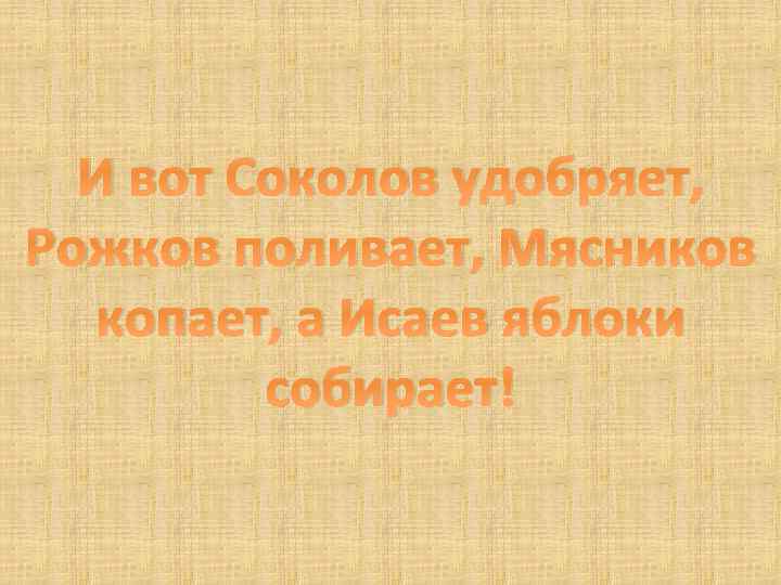 И вот Соколов удобряет, Рожков поливает, Мясников копает, а Исаев яблоки собирает! 