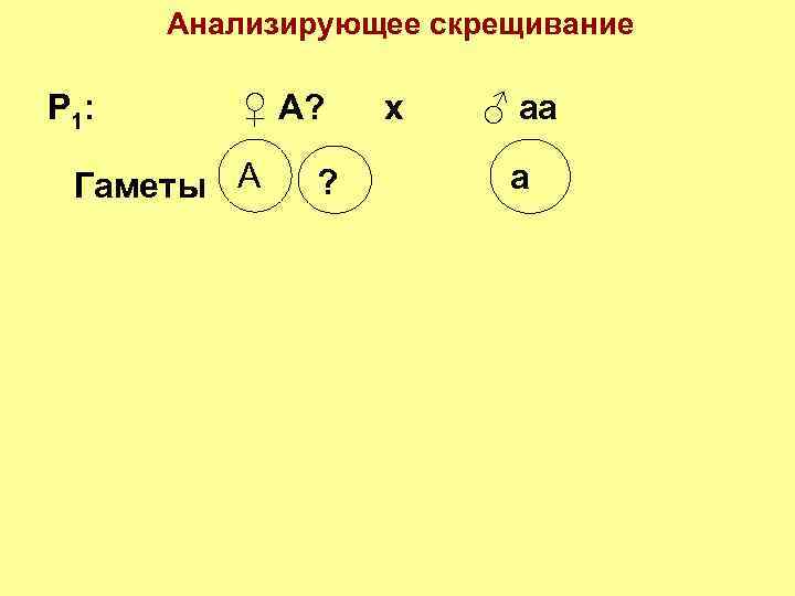 Анализирующее скрещивание Р 1: ♀ А? Гаметы А ? х ♂ аа а 