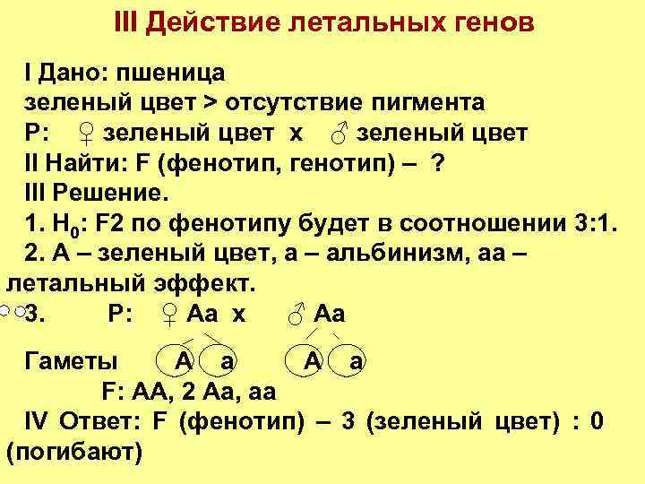 Решить задачу на гены. Задачи на летальные гены. Решение задач на летальные гены. Примеры летальных генов. Решение генетических задач на летальные гены.