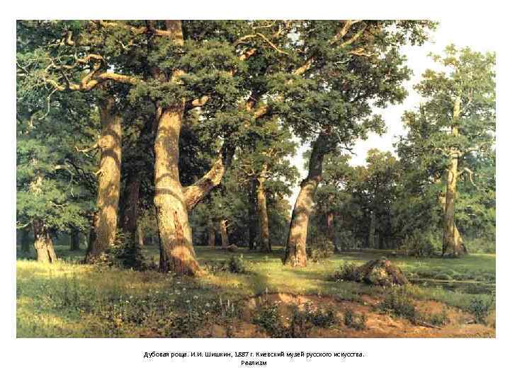 Дубовая роща. И. И. Шишкин, 1887 г. Киевский музей русского искусства. Реализм 