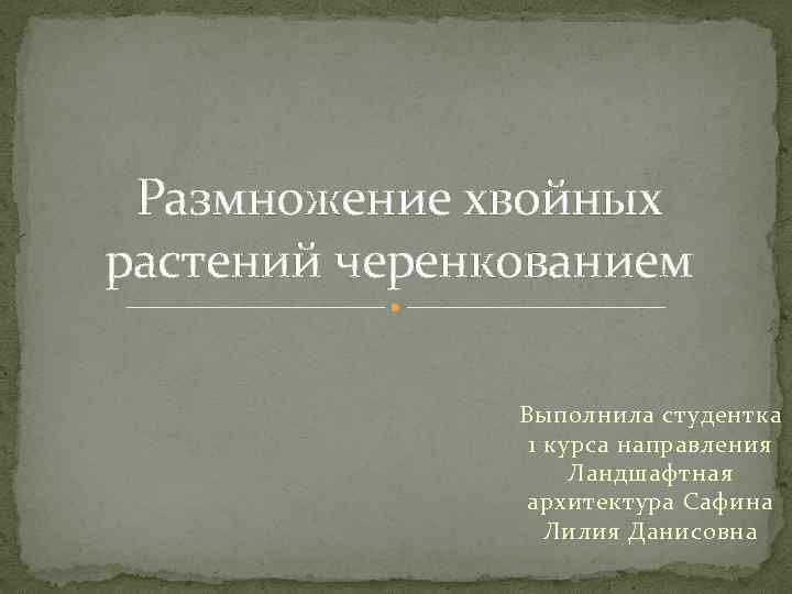 Размножение хвойных растений черенкованием Выполнила студентка 1 курса направления Ландшафтная архитектура Сафина Лилия Данисовна