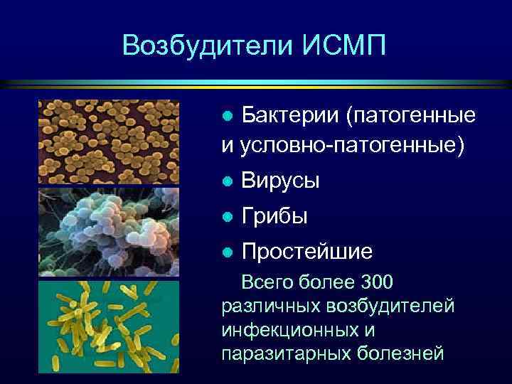 Возбудители ИСМП Бактерии (патогенные и условно-патогенные) l l Вирусы l Грибы l Простейшие Всего