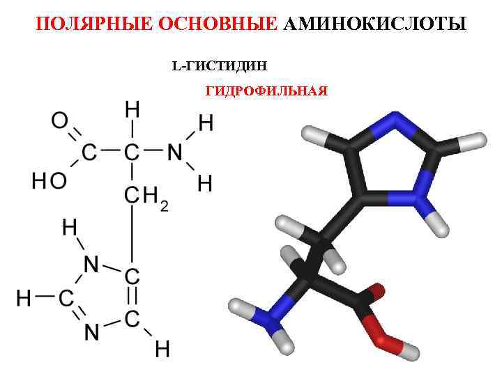 Биомолекула