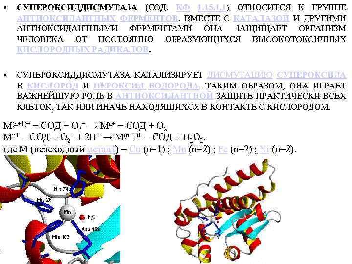  • СУПЕРОКСИДДИСМУТАЗА (СОД, КФ 1. 15. 1. 1) ОТНОСИТСЯ К ГРУППЕ АНТИОКСИДАНТНЫХ ФЕРМЕНТОВ.