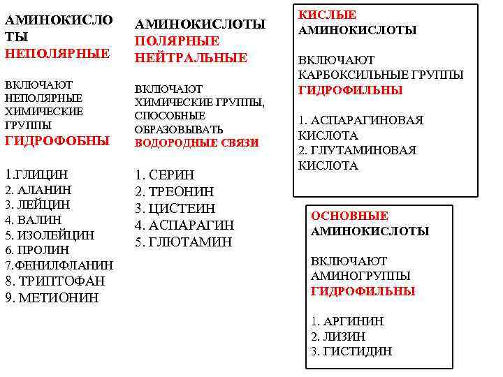 АМИНОКИСЛО ТЫ НЕПОЛЯРНЫЕ АМИНОКИСЛОТЫ ПОЛЯРНЫЕ НЕЙТРАЛЬНЫЕ ВКЛЮЧАЮТ НЕПОЛЯРНЫЕ ХИМИЧЕСКИЕ ГРУППЫ ВКЛЮЧАЮТ ХИМИЧЕСКИЕ ГРУППЫ, СПОСОБНЫЕ