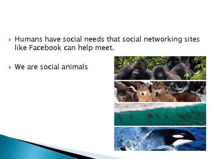  Humans have social needs that social networking sites like Facebook can help meet.