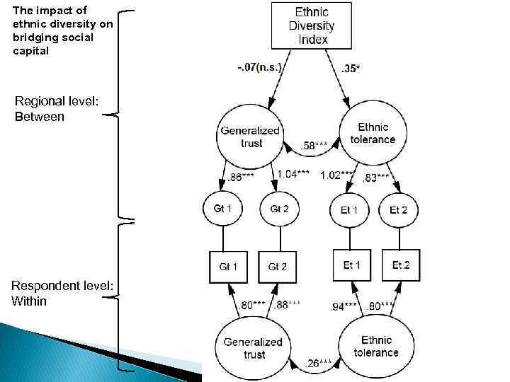 The impact of ethnic diversity on bridging social capital Regional level: Between Respondent level: