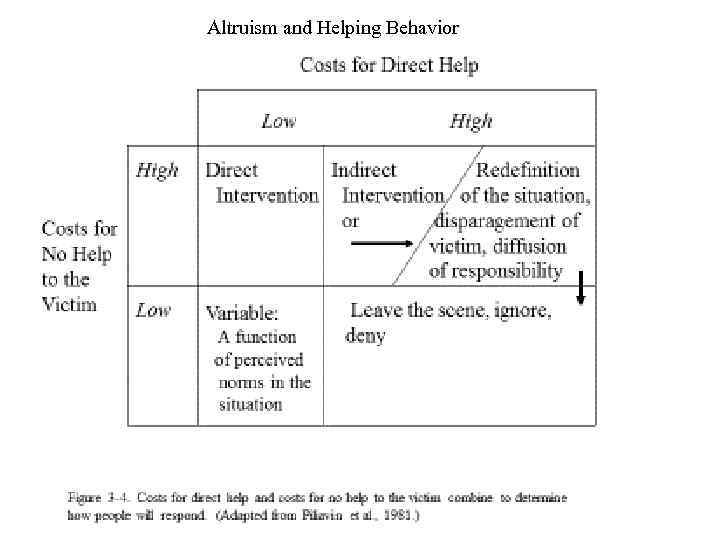 Altruism and Helping Behavior 