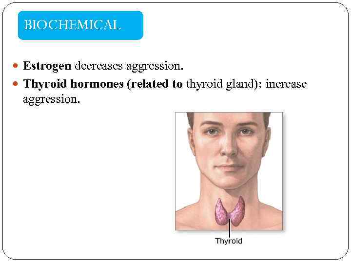 BIOCHEMICAL Estrogen decreases aggression. Thyroid hormones (related to thyroid gland): increase aggression. 