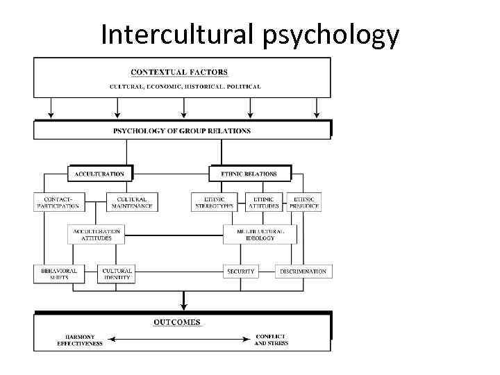 Intercultural psychology 