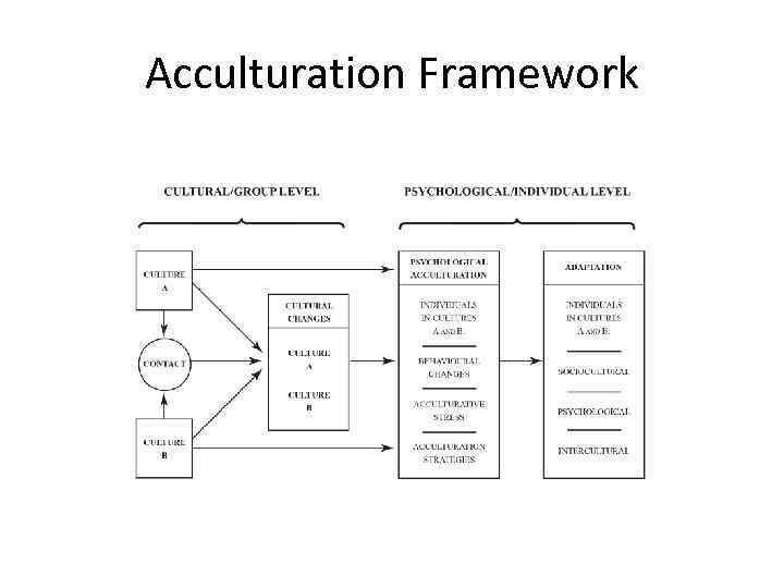 Acculturation Framework 