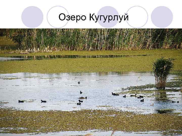 Озеро Кугурлуй 