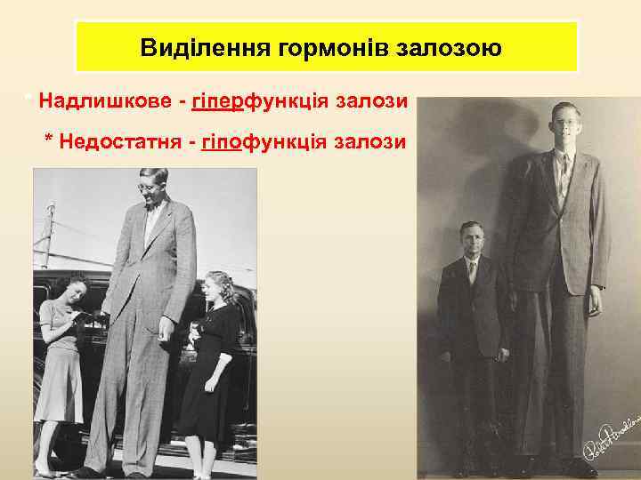 Виділення гормонів залозою * Надлишкове - гіперфункція залози * Недостатня - гіпофункція залози 