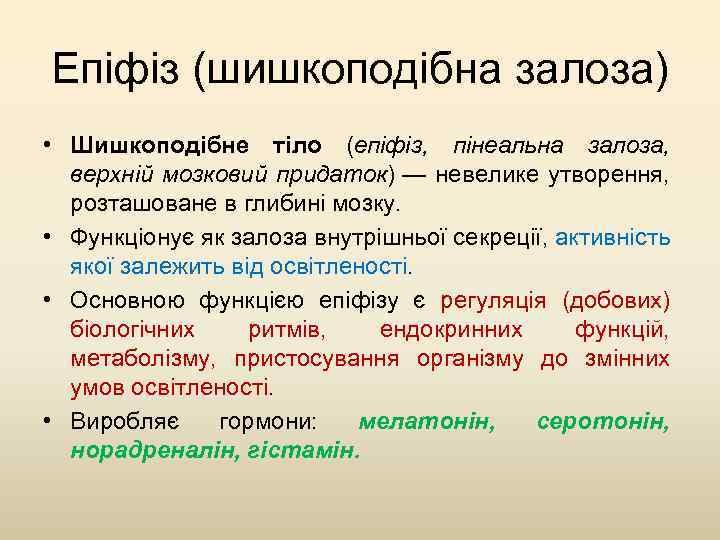 Епіфіз (шишкоподібна залоза) • Шишкоподібне тіло (епіфіз, пінеальна залоза, верхній мозковий придаток) — невелике