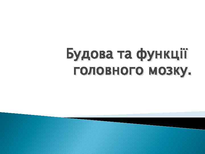 Будова та функції головного мозку. 