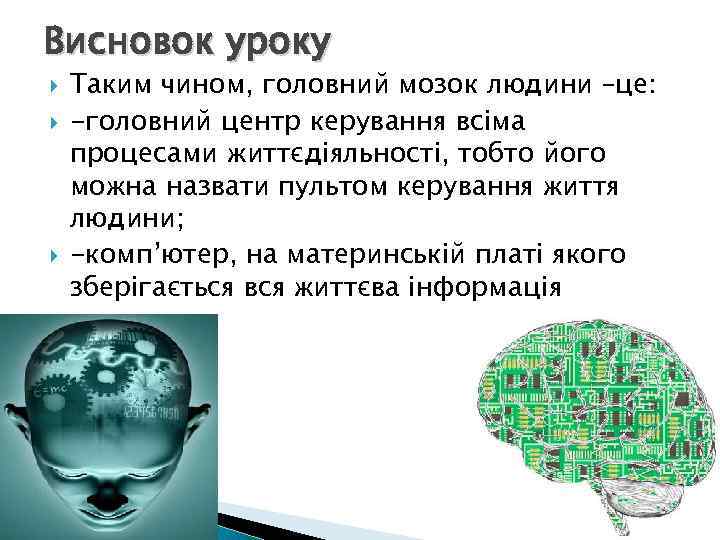Висновок уроку Таким чином, головний мозок людини –це: -головний центр керування всіма процесами життєдіяльності,