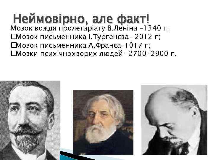 Неймовірно, але факт! Мозок вождя пролетаріату В. Леніна – 1340 г; Мозок письменника І.