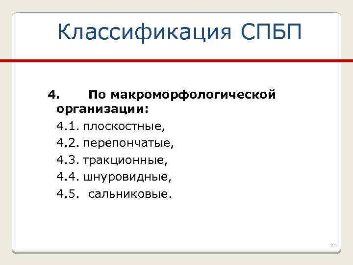 Классификация СПБП 4. По макроморфологической организации: 4. 1. плоскостные, 4. 2. перепончатые, 4. 3.