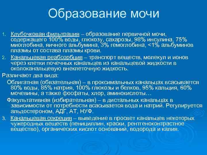 Образование мочи Клубочковая фильтрация – образование первичной мочи, содержащего 100% воды, глюкозу, сахарозы, 98%