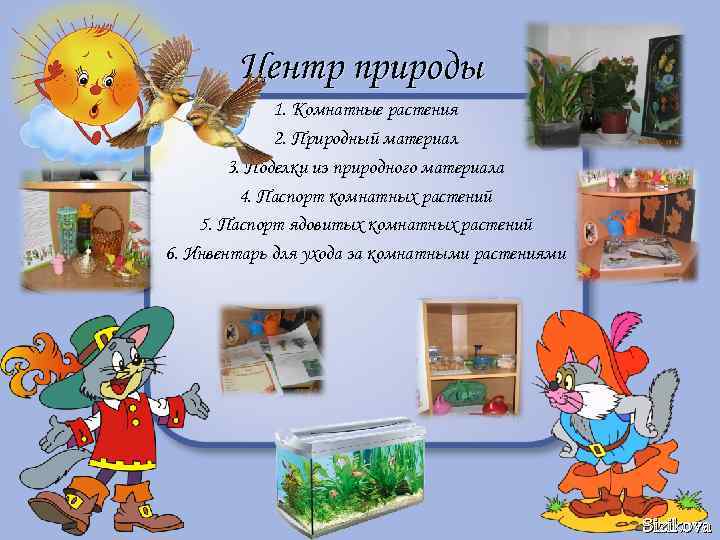 Центр природы 1. Комнатные растения 2. Природный материал 3. Поделки из природного материала 4.