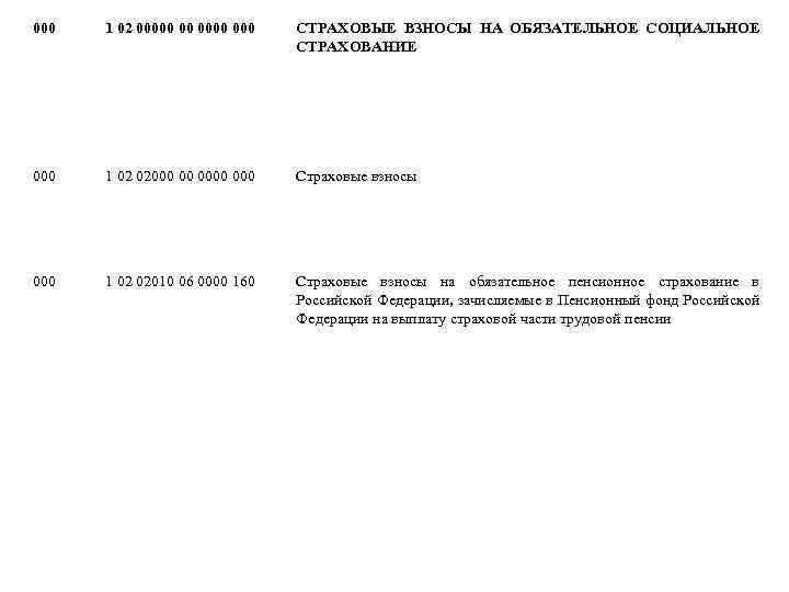 000 1 02 00000 00 000 СТРАХОВЫЕ ВЗНОСЫ НА ОБЯЗАТЕЛЬНОЕ СОЦИАЛЬНОЕ СТРАХОВАНИЕ 000 1