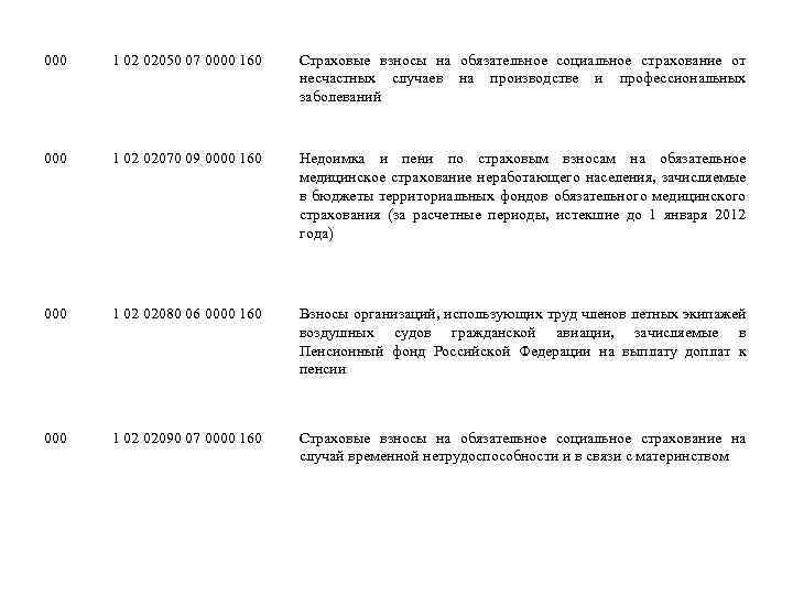 000 1 02 02050 07 0000 160 Страховые взносы на обязательное социальное страхование от