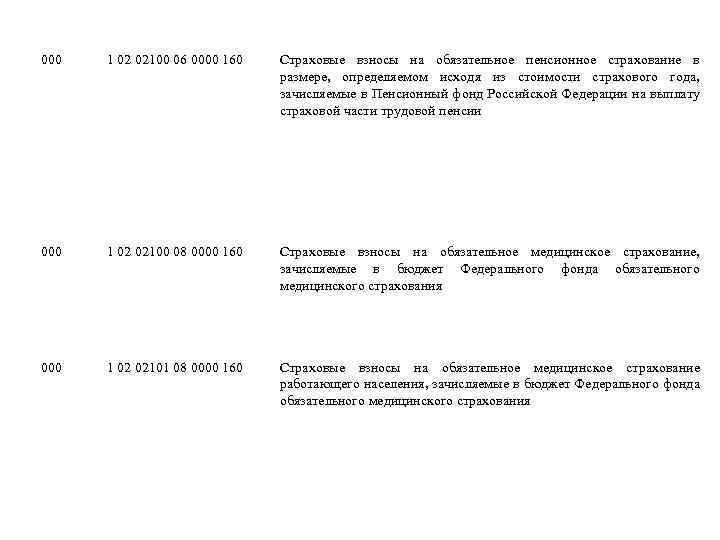 000 1 02 02100 06 0000 160 Страховые взносы на обязательное пенсионное страхование в