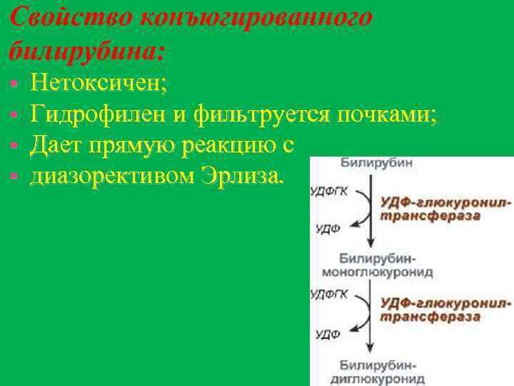Свойство конъюгированного билирубина: § § Нетоксичен; Гидрофилен и фильтруется почками; Дает прямую реакцию с