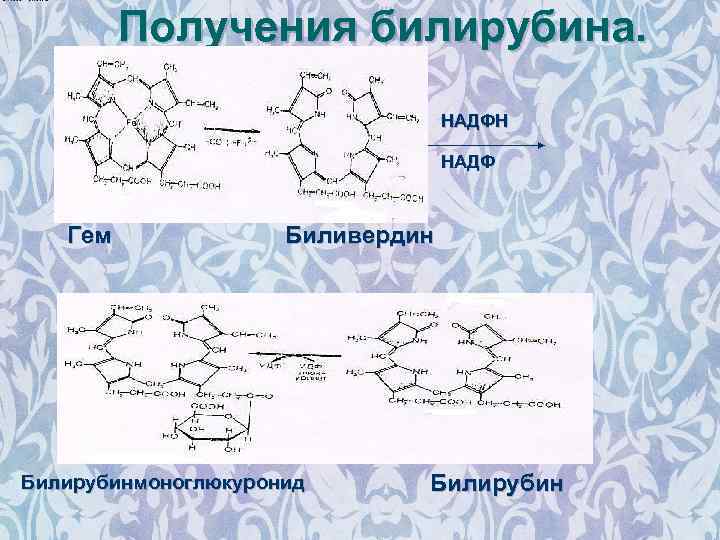 Получения билирубина. НАДФН НАДФ Гем Биливердин Билирубинмоноглюкуронид Билирубин 