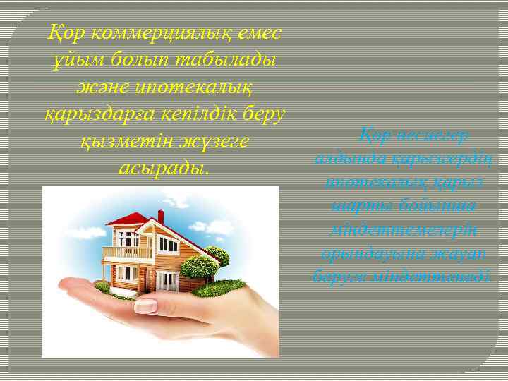 Қор коммерциялық емес ұйым болып табылады және ипотекалық қарыздарға кепілдік беру қызметін жүзеге асырады.