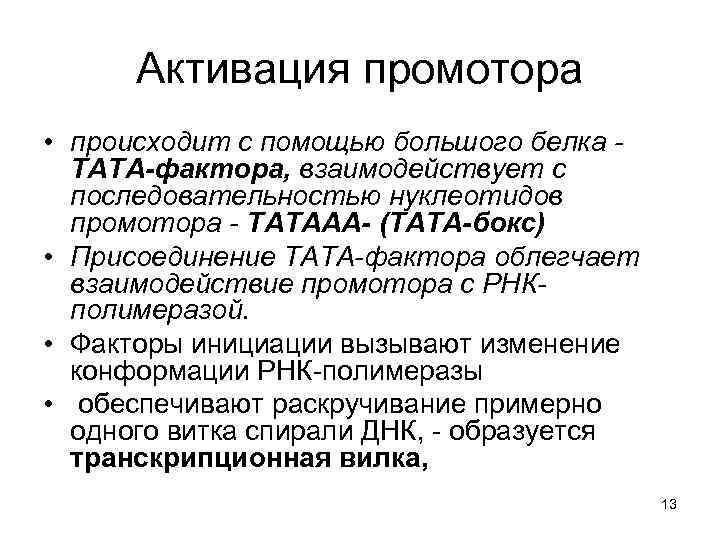 Активация промотора • происходит с помощью большого белка - ТАТА-фактора, взаимодействует с последовательностью нуклеотидов